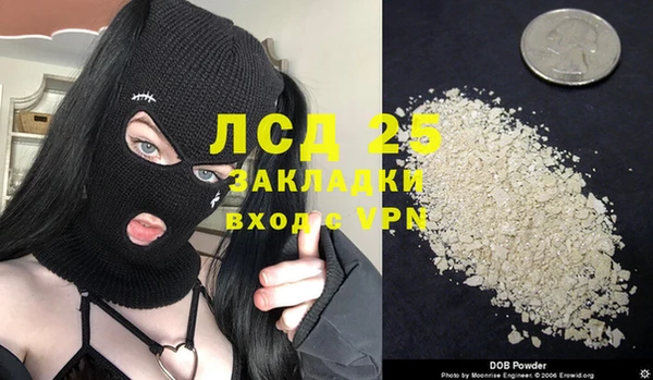 прущие грибы Алексеевка