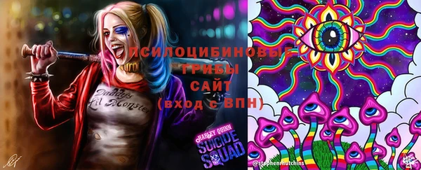 стаф Алексин