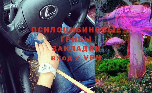 стаф Алексин