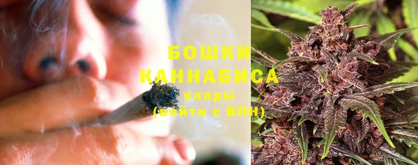 PSILOCYBIN Строитель