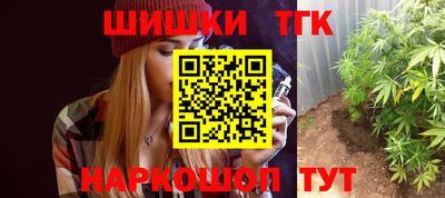 тгк Вышний Волочёк