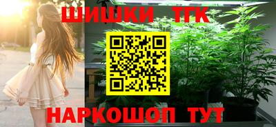 тгк Вышний Волочёк